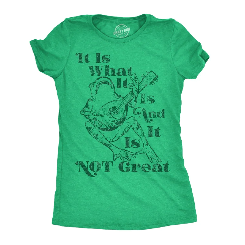 It Is What It Is And It Is Not Great Women's T Shirt